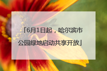 6月1日起，哈尔滨市公园绿地启动共享开放