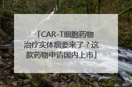 CAR-T细胞药物治疗实体瘤要来了？这款药物申请国内上市