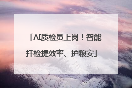 AI质检员上岗！智能扦检提效率、护粮安