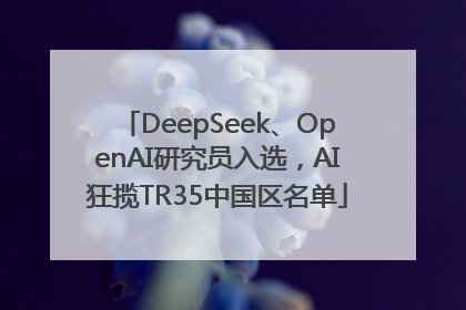DeepSeek、OpenAI研究员入选，AI狂揽TR35中国区名单