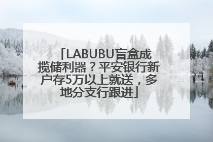 LABUBU盲盒成揽储利器？平安银行新户存5万以上就送，多地分支行跟进