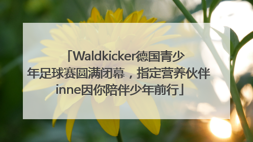 Waldkicker德国青少年足球赛圆满闭幕，指定营养伙伴inne因你陪伴少年前行